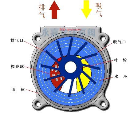 2BV系列水環(huán)式真空泵工作原理